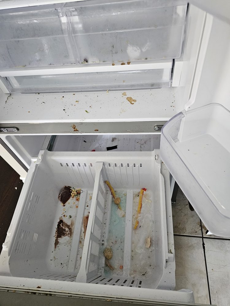 Refrigerator interior with spills and stains before cleaning