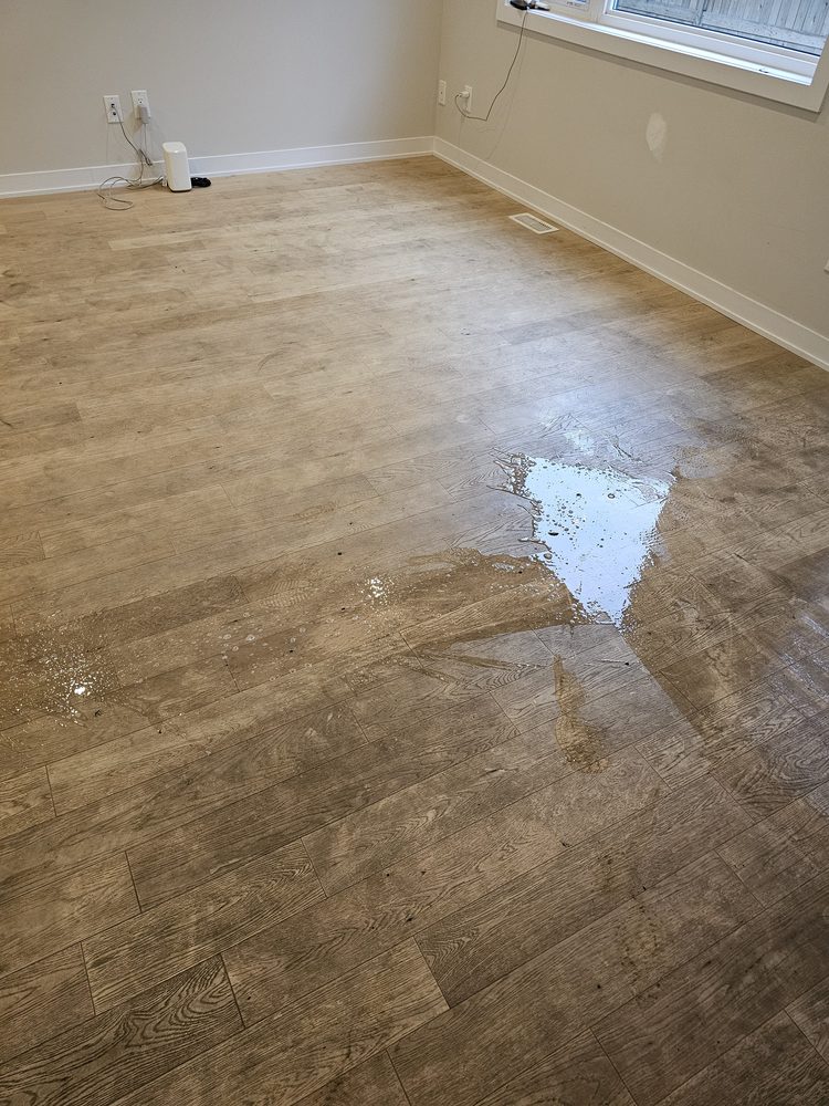 Hardwood floor scuffed and dusty before cleaning