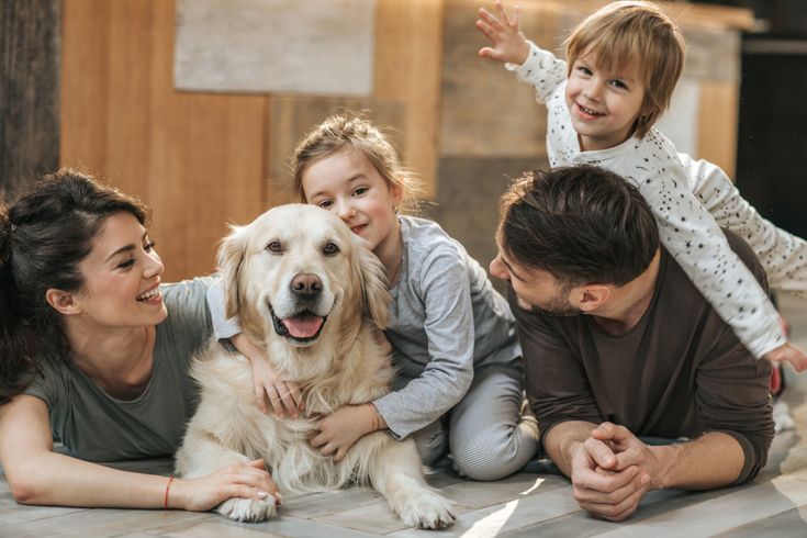 A family relaxing at home in Clarence-Rockland after a Magicstick Clean visit