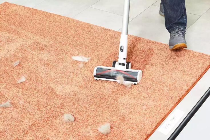 Vacuuming pet hair from a carpet